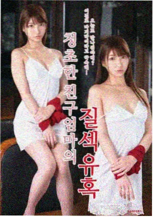 海岸线以北影片封面
